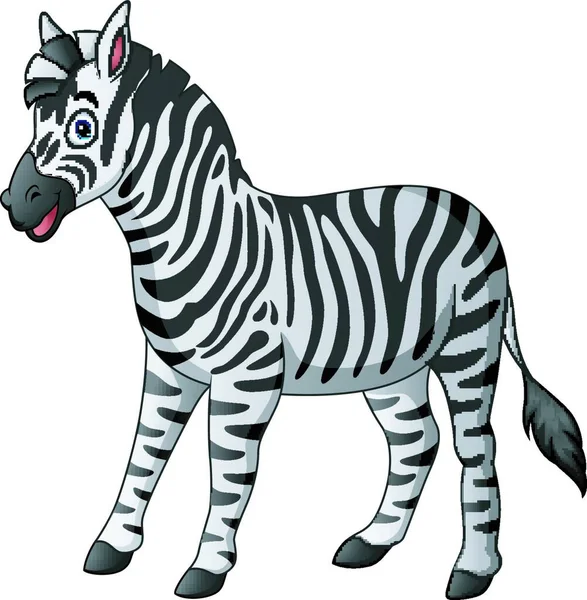 Ilustração Vetorial Desenho Animado Bonito Zebra — Vetor de Stock