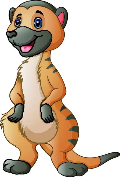 Ilustración Vectorial Dibujos Animados Lindo Suricata — Vector de stock