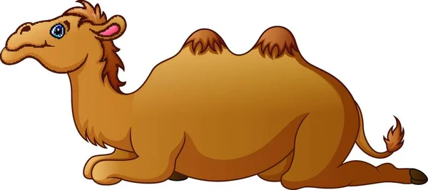 Ilustração Vetorial Desenhos Animados Camelo Bonito —  Vetores de Stock