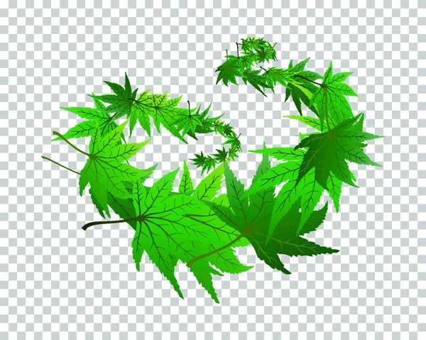 Feuilles Cannabis Feuilles Marijuana Sur Fond Blanc — Image vectorielle