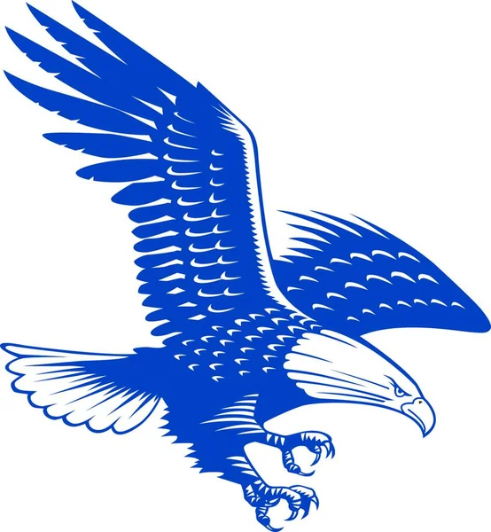 Ilustración Vectorial Águila Azul Blanca — Vector de stock