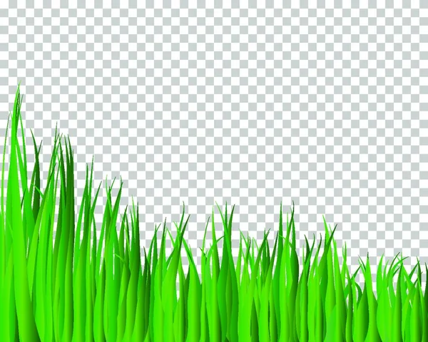 Green Grass Field White Background — Stock Vector