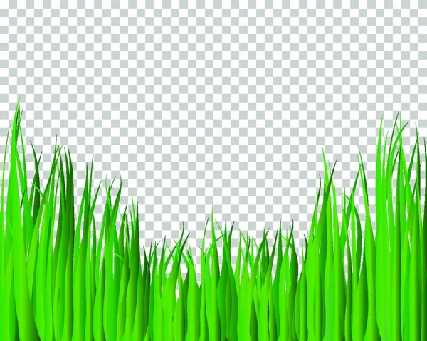 Groen Grasveld Met Witte Achtergrond — Stockvector