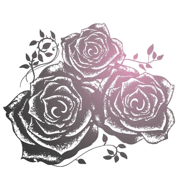 Три Розы Полная Векторная Иллюстрация Ручной Работы — стоковый вектор