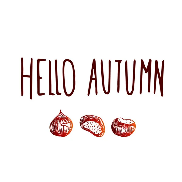 Sweet Autumn Chestnuts Full Vector Background — Stock Vector