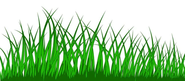 Grass Isolated White Background — Stock Vector