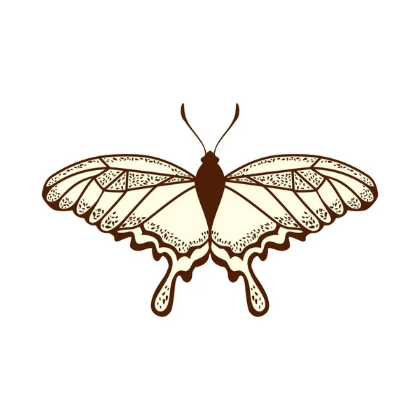 蝶のアイコン 手描きベクトルイラスト — ストックベクタ