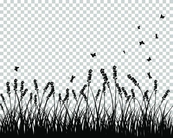 Illustration Vectorielle Herbe Des Prairies — Image vectorielle