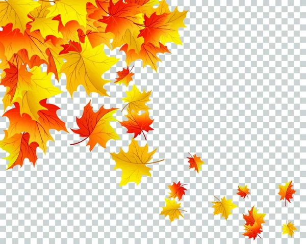 Der Herbst Hinterlässt Spuren Vektorillustration — Stockvektor