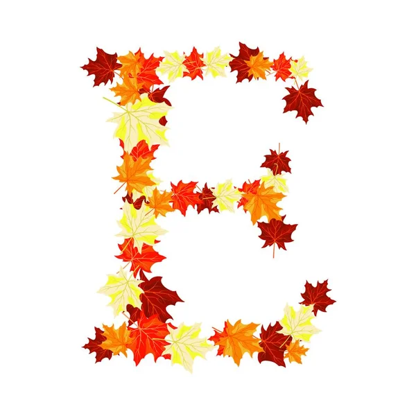 Autumn Maples Leaves Letter Golden Fall Design Vector Illustration — Stock Vector