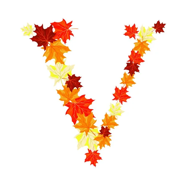 Autumn Leaves Fall Season Vector Illustration — Stock Vector