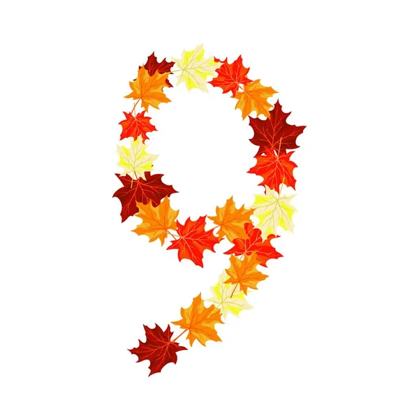 Hojas Otoño Aisladas Sobre Fondo Blanco — Vector de stock