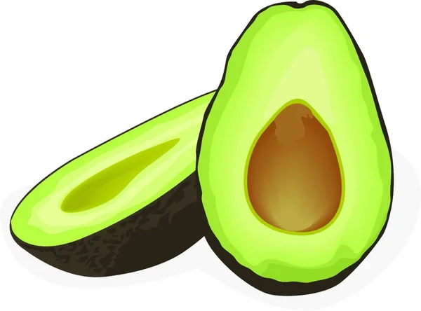 Avocado Illustration Isoliert Auf Weißem Hintergrund — Stockvektor