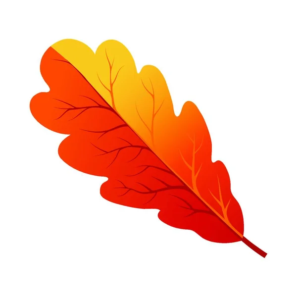 Hojas Otoño Aisladas Sobre Fondo Blanco — Vector de stock