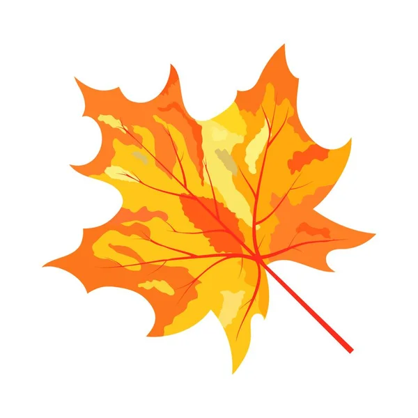 Herbst Ahorn Blätter Isoliert Auf Weißem Hintergrund — Stockvektor
