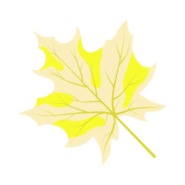 Herbst Blätter Isoliert Auf Weißem Hintergrund — Stockvektor