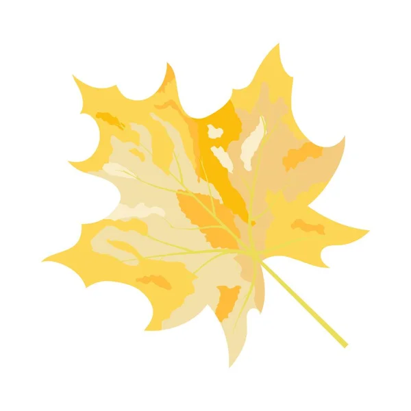 Höstens Maple Leaf Vektor Illustration — Stock vektor