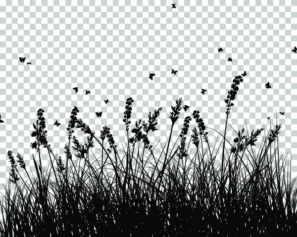 Vectorillustratie Van Gras Planten — Stockvector