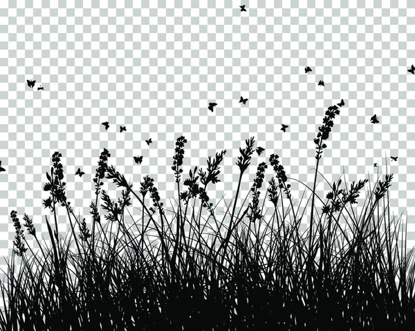 Illustration Vectorielle Herbe Des Plantes — Image vectorielle