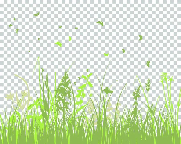 Champ Herbe Verte Avec Fond Blanc — Image vectorielle