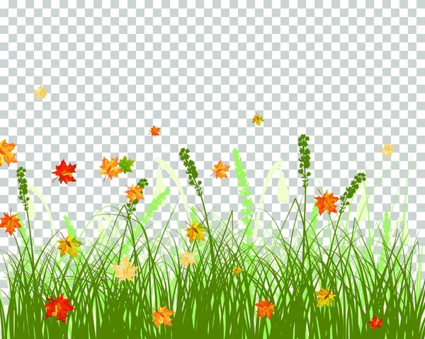 Vector Ilustración Flores Verano — Vector de stock