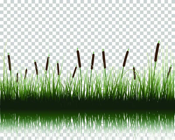 Vektor Illustration Gräs Och Växter — Stock vektor