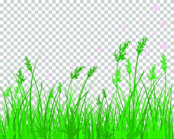 Grünes Gras Und Pflanzen Auf Transparentem Hintergrund Vektorillustration — Stockvektor