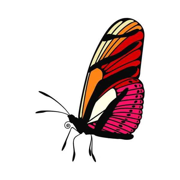 Икона Бабочки Цветной Дизайн Векторная Иллюстрация Eps — стоковый вектор