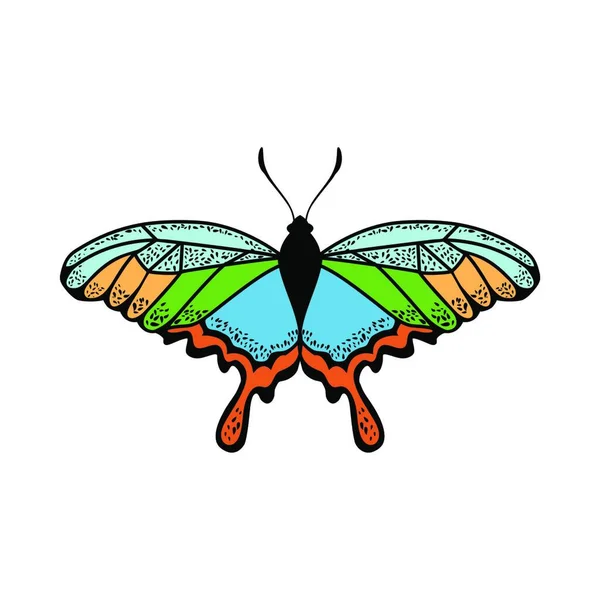 Icono Mariposa Ilustración Vectorial Dibujado Mano — Vector de stock