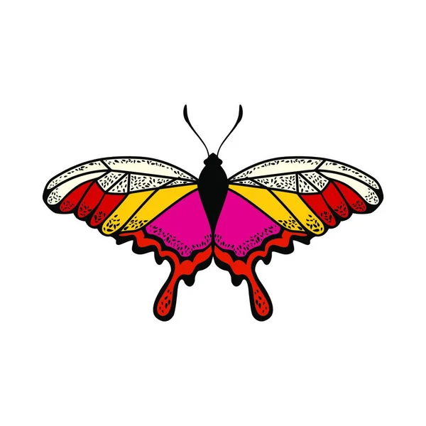 Schmetterlingsikone Handgezeichnete Vektor Illustration — Stockvektor