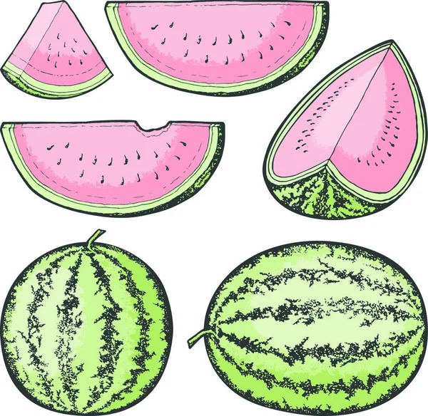 Skizzierte Wassermelonen Ikonen Ganz Und Scheiben — Stockvektor