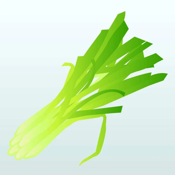 Bunch Lemongrass Vector Illustration — Stock Vector