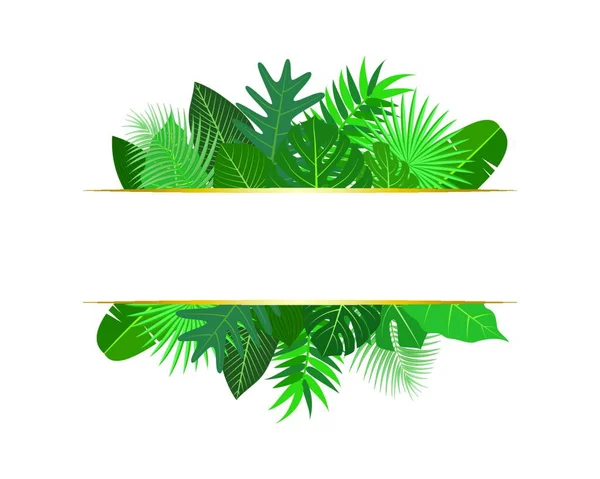 白い背景にバナーを持つ様々なエキゾチックな緑の熱帯の葉のベクトル図 — ストックベクタ