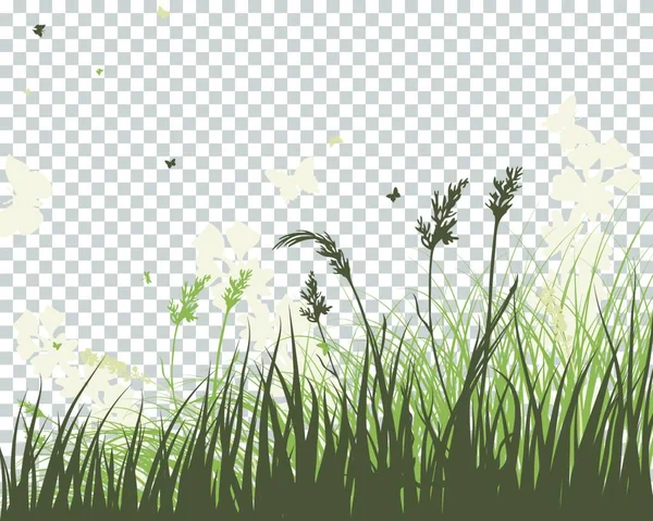 Vektorillustration Von Gras Und Kräutern Pflanzen Und Blumen Auf Transparentem — Stockvektor