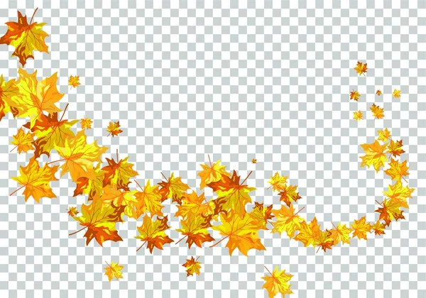Φθινοπωρινά Φύλλα Απομονώνονται Διαφανές Φόντο Εικονογράφηση Διανύσματος — Διανυσματικό Αρχείο