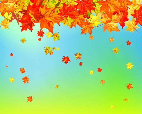 Herfst Bladeren Achtergrond Vectorillustratie — Stockvector