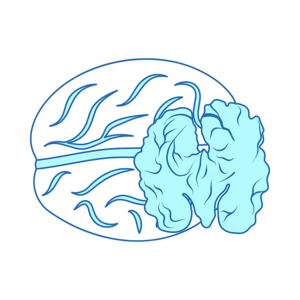 Ilustração Vetor Ícone Cerebral — Vetor de Stock