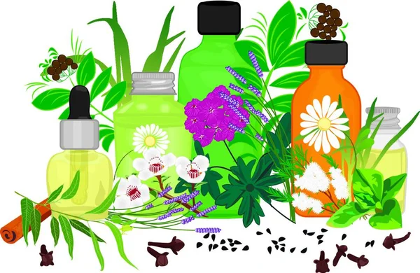 Jeu Huiles Essentielles Illustration Vectorielle Aromathérapie — Image vectorielle