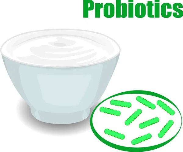 Probiotikumok Baktériumok Joghurt Vektoros Illusztráció — Stock Vector