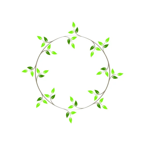 Vintage Bloemen Ronde Frames Groene Decoratieve Circulaire Ivy Krans Vector — Stockvector