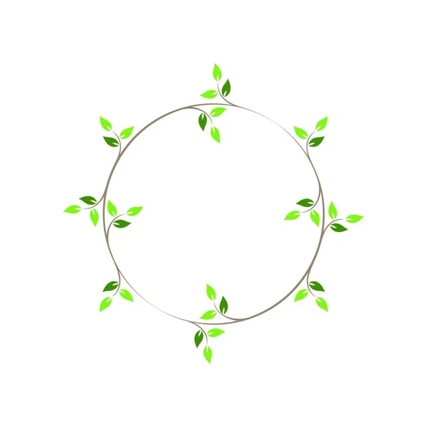 Vintage Bloemen Ronde Frames Groene Decoratieve Circulaire Ivy Krans Vector — Stockvector