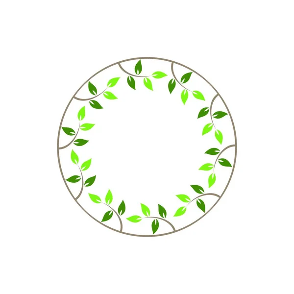 Vintage Bloemen Ronde Frames Groene Decoratieve Circulaire Ivy Krans Vector — Stockvector