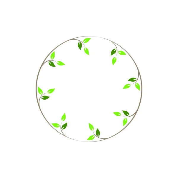 Vintage Bloemen Ronde Frames Groene Decoratieve Circulaire Ivy Krans Vector — Stockvector