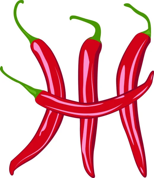 Červené Chilli Papričky Vektorové Ilustrace Bílém Pozadí — Stockový vektor