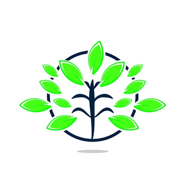 緑の葉のロゴデザインベクターテンプレート — ストックベクタ