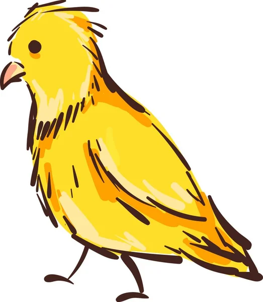 Vector Illustration Yellow Canary Bird White Background — Stock Vector