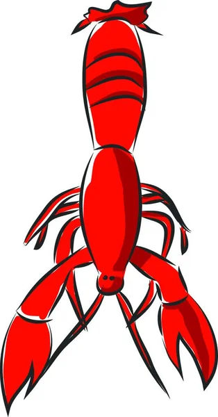 红小龙虾载体在白色背景上的液过滤 — 图库矢量图片