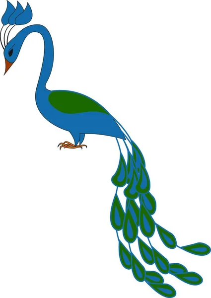 Blue Green Peacock Vector Illustration White Background — Stock Vector