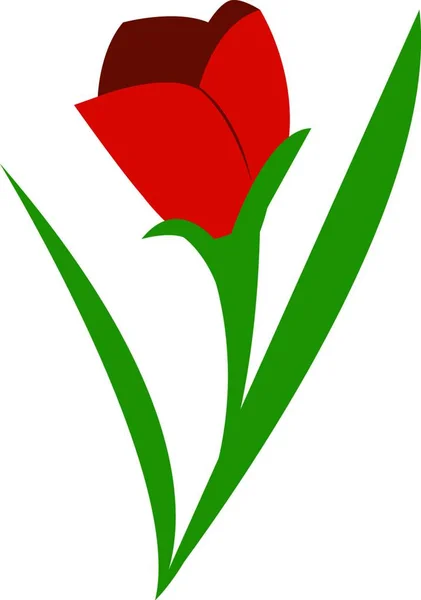 Una Rosa Roja Con Hojas Largas Verdes Alrededor Ella Dibujo — Vector de stock