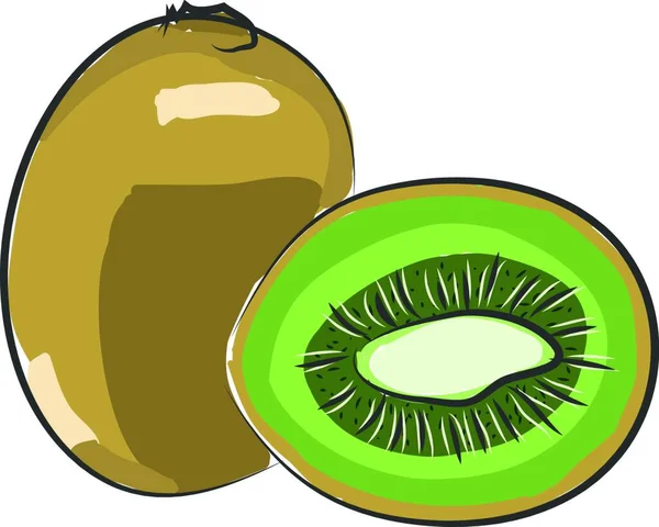 Satu Kiwi Utuh Samping Setengah Kiwi Diiris Vektor Gambar Warna - Stok Vektor